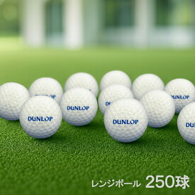 練習用ゴルフボール（レンジボール）スタンダードSF 250球入り【スタンダードタイプのワンピース】【打ちっぱなし練習場使用ボール】