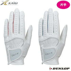 y11/20`11/27 Gg[łɃ|CgvX4{z_bv [NVI _gcObvO[ufBX GGG-X021W 2023Nf