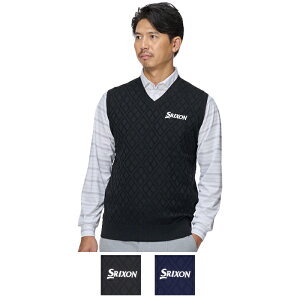 yM.collectionzXN\ RI背vJ VlbN A[KCZ[^[xXg 2025FWNf