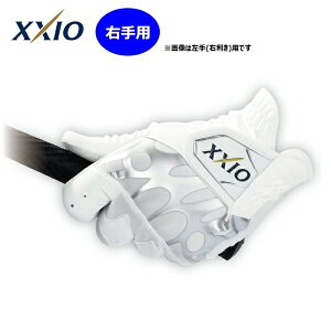 y11/20`11/27 Gg[łɃ|CgvX4{zy_bvzXXIOi[NVIjO[u@GGG-X008R@ipjyimtgzyStO[uzyteB[z