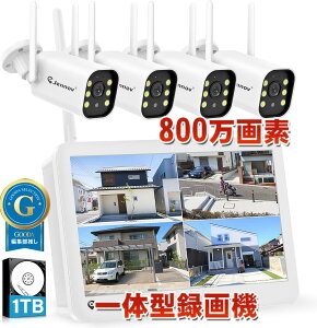 �h�ƃJ���� ���C�����X ���O 800����f�Ή� �t�����j�^�[�t�� 4��Z�b�g4K���j�^�[�t�� 130°�L�p 1TBHDD���� 24���Ԙ^��@�\ AI�l�̌��m�@�\�t�� �h�ƃJ�����Z�b�g �J���[�Î��B�e �l���Z���T�[ 