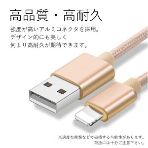 iPhone [d P[u 1m [dP[u R[h [d iPad iPhonep iPhone13 iPhone12 iPhone11 [dP[u iPhone8 Plus iPhoneX@}[d fh~ iC f[^] USBP[u 1[g [d R[
