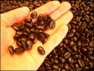 lR|XցfuhfBi[uhR[q[2ނ̂Zbg p[eB[ LO a