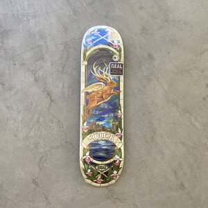 REAL  JACK OLSON / CATHEDRAL  - 8.25inch ���A�� �X�P�[�g�{�[�h �f�b�L �C �W���b�N �I���\��