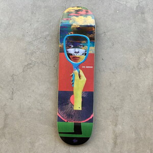 THE KILLING FLOOR PORTRAIT / JOSH ANDERSON  - 8.38inch