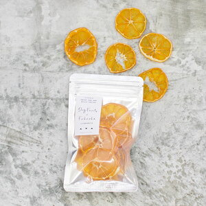 ӂ̂߂ ݂ hC~J 10g sgphCt[c Y Y  