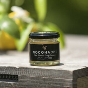 ̂͂@NOCOHACHI j[T}[IWv~A@\ÓY݂͂