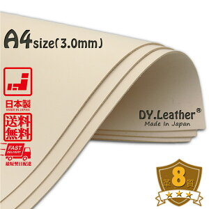 y}\zkvyA4×3/3.0mm/v8zDY.Leather ^[ { ^jȂ߂ U[Ntg {v n ͂ Ȃ VRv  JbgU[ J[rO A^j 