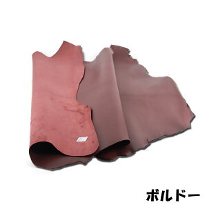 yU[NtgzRrv S[gU[ DY.Leather { v ^j  JbgU[ O[WOdグ U[Ntgp[c c nM {v n v ͂ Ȃ ޗ 