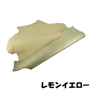 y}\zRrv S[gU[ DY.Leather { v ^j  JbgU[ O[WOdグ U[Ntgp[c c nM {v n v ͂ Ȃ 