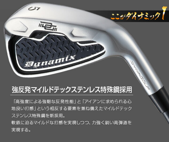 楽天市場】ゴルフ クラブ セット アイアンセット ダイナミクス 