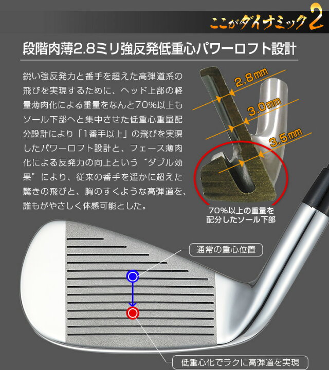 楽天市場】ゴルフ クラブ セット アイアンセット ダイナミクス 
