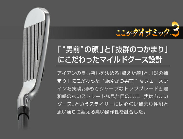 楽天市場】ゴルフ クラブ セット アイアンセット ダイナミクス  
