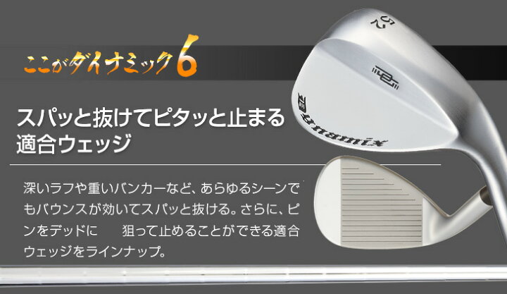 楽天市場】ゴルフ クラブ アイアンセット 8本セット ダイナミクス  