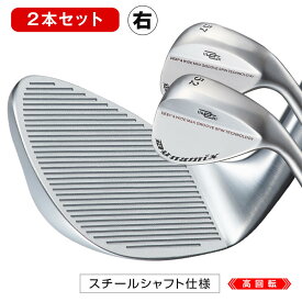 ゴルフ クラブ ウェッジ メンズ 2本セット 48度 52度 57度 ダイナミクス ハイスピンウェッジ スチールシャフト仕様 非適合 バウンス角 8度 10度