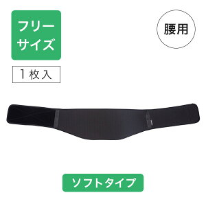 ファイテン 腰 サポーターの人気商品 通販 価格比較 価格 Com
