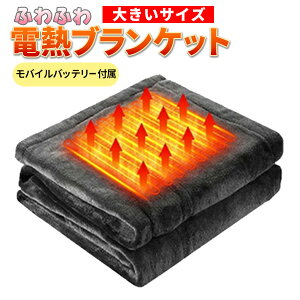 �d�M �u�����P�b�g �h�� ���������O�b�Y ���o�C���o�b�e���[�t�� �傫�� 150cm×85cm �ӂ��ӂ� ���G��ǂ� �G�|�� �d�C�ѕz