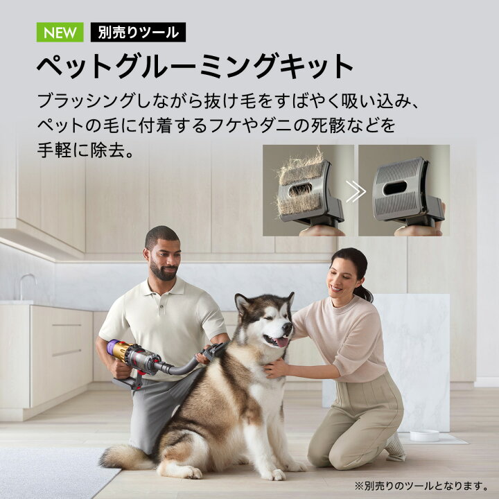 楽天市場】【特別価格】 ダイソン Dyson V12 Detect Slim Absolute 