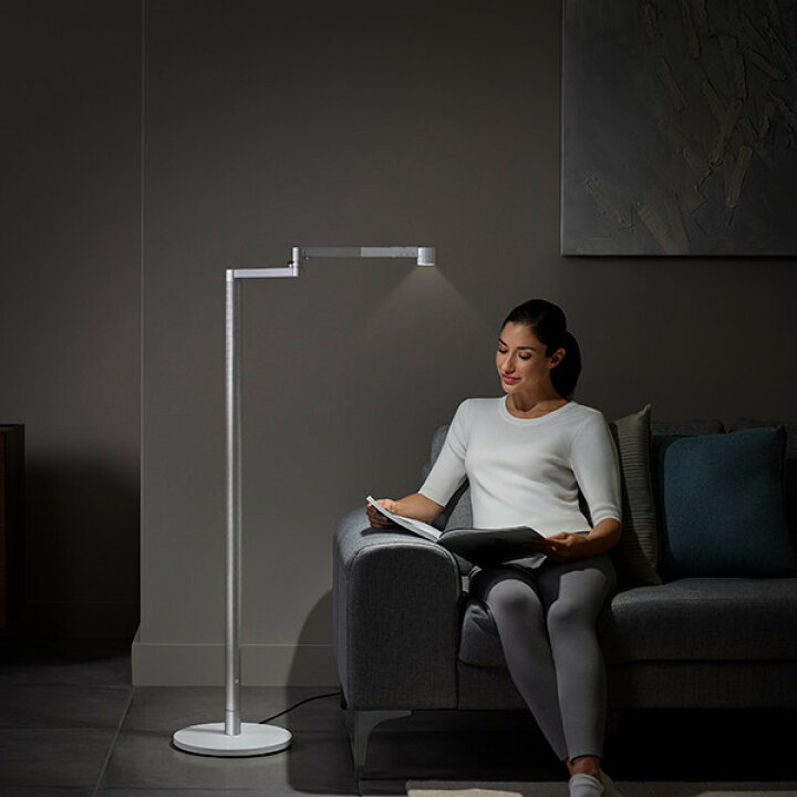 楽天市場】ダイソン Dyson Solarcycle Morph フロアライト CF06WS  