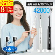 ✨ラストスパート★10%OFFクーポン→3,224円&P5倍✨電動歯ブラシ 音波式歯ブラシ 歯ブラシ 替えブラシ IP…