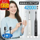 ✨SS限定★5％OFFクーポンで3,401円～✨電動歯ブラシ 音波式歯ブラシ 歯ブラシ 替えブラシ IPX7防水 タイマー機能搭載 ワイヤレス 充電 電動ハブラシ 歯ぶらし 歯垢除去 本体 5つモード はみがき はぶらし 電動歯ぶらし ハブラシ 家族 大人/子供