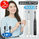 ✨20日24時までクーポンで5%OFF✨電動歯ブラシ 音波式歯ブラシ 歯ブラシ 替えブラシ IPX7防水 タイマー機能搭載 ワイヤレス 充電 電動ハブラシ 歯ぶらし 歯垢除去 本体 5つモード はみがき はぶらし 電動歯ぶらし ハブラシ 家族 大人/子供