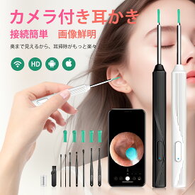 耳かき カメラ LED みみかき 無線 耳掻き 光る耳かき 耳掃除 ピンセット 耳垢 掃除 みみあか 子ども用 子供 子供用 介護耳かき プレゼント ギフト 送料無料 ステンレス ライト