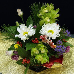 `` NzWy}tzyzyzy#C܂vWFNgz