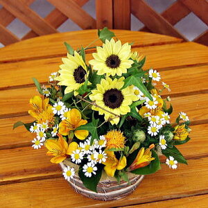 Ђ܂̂킢AWgyT}[Mtgzy̓z