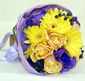 CG[u[Pyv[gzjɓn̂Ƀsb^TCYIV킢u[P^Cv