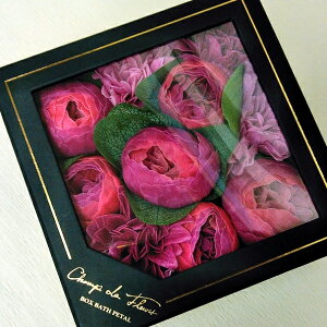 Brise-uYu敗vy̓Mtgzy̓Mtgzy\[vt[zy܁zyoXt[zhV