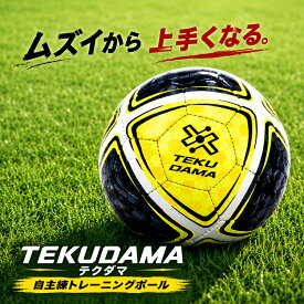 【ムズいから上手くなる】 テクダマ 自主練 上達 サッカーボール サッカー ボール 上達ボール ドリブル リフティングボール ギフト 誕生日 プレゼント クリスマス 誕生日プレゼント TEKUDAMA 2号球 4号球 相当の重さ トレーニング