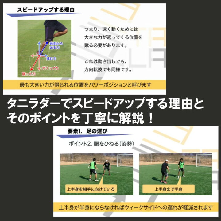 楽天市場 タニラダーベーシック シングルセット サッカー版 Dvdセット ラダートレーニング イースリーショップ 楽天市場 タニラダーベーシック シングルセット サッカー版 Dvdセット ラダートレーニング イースリーショップ