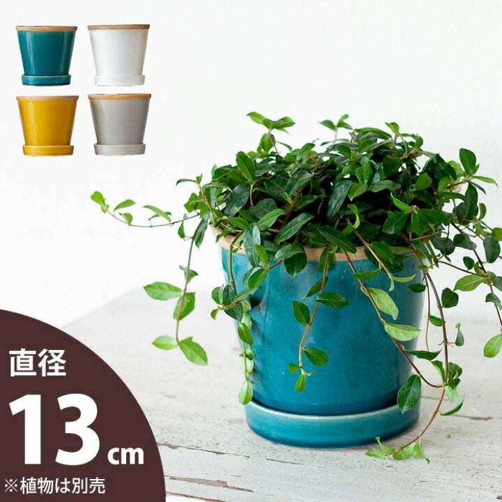 楽天市場 おしゃれな植木鉢 4色から選べる 植物に合せやすい植木鉢s 13ｃｍ ｅ 花屋さん