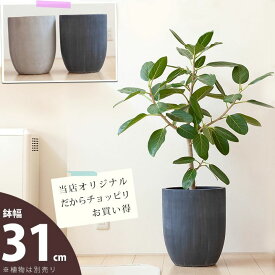 店長お勧め！サイズ感GOODな植木鉢（31cm・面長）VO31※植物とは同梱不可