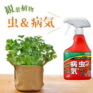 観葉植物 殺菌剤 Diy 工具の人気商品 通販 価格比較 価格 Com