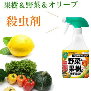 ؂ʎAI[u̎Eɂ̓xjJxWt420ml