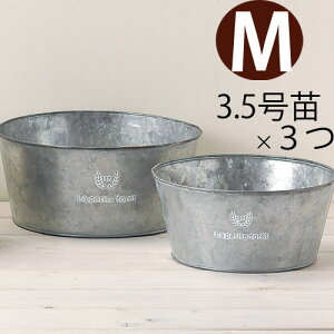 【おしゃれな植木鉢】浅めの円形・ブリキ鉢(3.5号苗×3)ラウンドS3391b