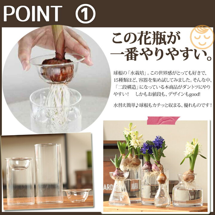 楽天市場 今月のおすすめ ヒヤシンスの水栽培set 球根 花瓶 Sサイズ ｅ 花屋さん