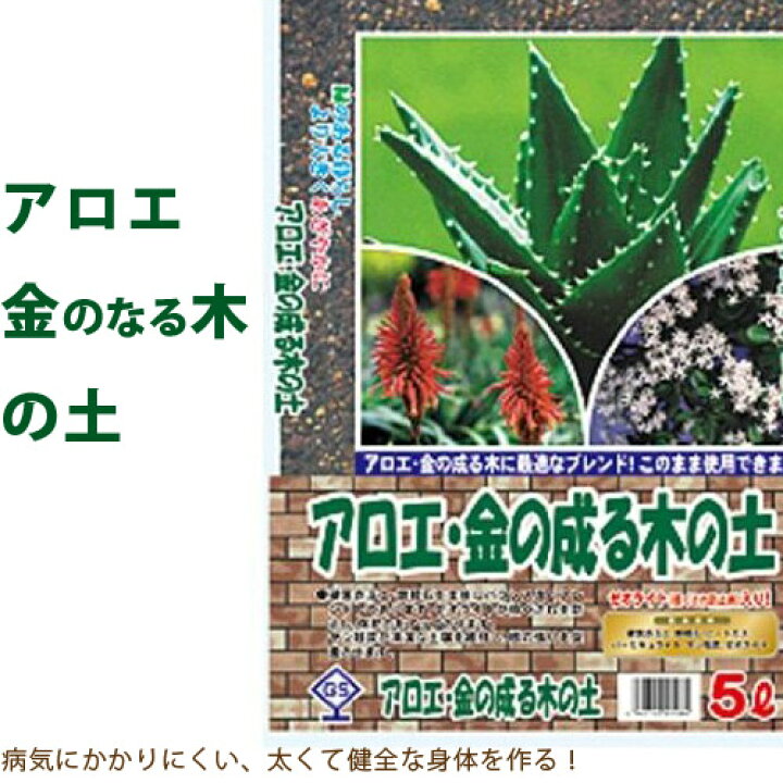 楽天市場 アロエ 金の成る木の土 5リットル 多肉植物 花月 金のなる木 ｅ 花屋さん