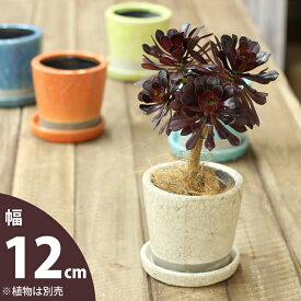 【植木鉢 おしゃれ】JUNK風おしゃれツートンカラーの陶器鉢 M （12.5cm）観葉植物 鉢 観葉植物の鉢 4号 陶器 植木鉢 おしゃれ 鉢植え 植え替え おしゃれな植木鉢 土 ガーデニング 室内 小さい 小さめ ミニ ミニ鉢 アイボリー イエロー オレンジ ターコイズ ブルー