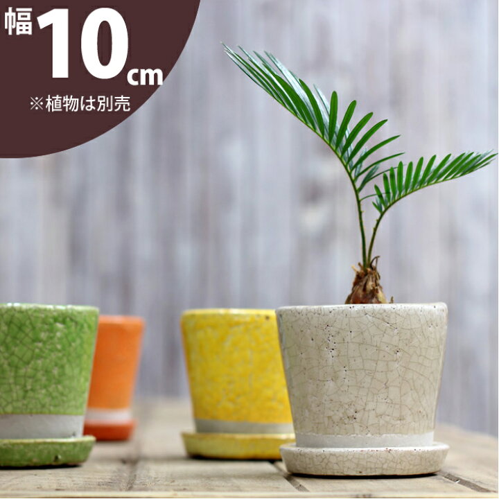 楽天市場 おしゃれな植木鉢 Junk風おしゃれツートンカラーの陶器鉢 S 鉢底ネット付き 丸型陶器 アンティーク風 石の質感 グレー かわいい オシャレ 卓上室内置き 3号鉢 2号 3号苗向け小さいサイズ 10 5cm e 花屋さん 楽天市場 おしゃれな植木鉢 Junk風おしゃれツートンカラーの陶器鉢 S 鉢底ネット付き 丸型陶器 アンティーク風 石の質感 グレー かわいい オシャレ 卓上室内置き 3号鉢 2号 3号苗向け小さいサイズ 10 5cm e 花屋さん