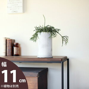 yȐAؔzyȓ픫z}bgȎAےg[AؔSi11cmj