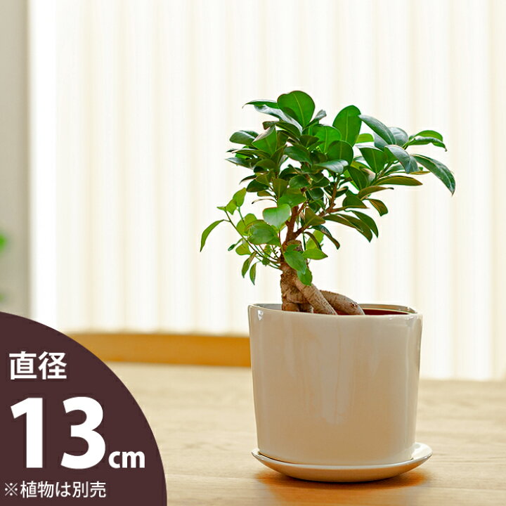 楽天市場 おしゃれな植木鉢 手作り みたいな三角陶器 ショート 13ｃｍ ｅ 花屋さん
