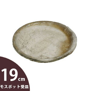 AeB[NEzCgfĂ̎󂯎Mia19cm)×1