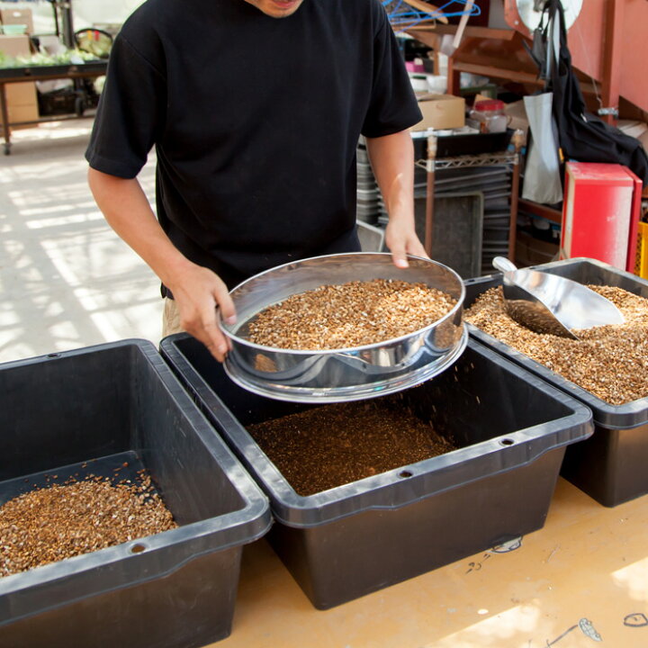 楽天市場 プレミアム用土 少量パック１l 観葉植物の土 多肉植物の植え替えにも最適 虫がわきにくので室内利用におすすめ 排水性 通気性に優れ 根腐れを防ぎます 硬質赤玉土が主体 ベストソイルミックス 塊根植物 フィカスの植え替え培養土 ｅ 花屋さん