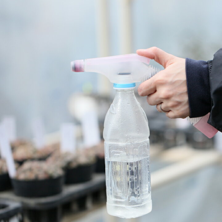 楽天市場 これ便利です 年末の大掃除にも使えます 加圧式スプレーノズル ポンプ式 ペットボトル専用 霧吹き ペットボトル専用 加圧式おそうじスプレー ペットボトル専用加圧式スプレーノズル ｅ 花屋さん