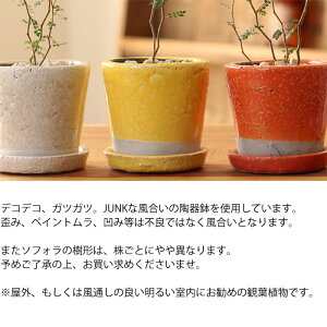 インテリア写真オレンジ