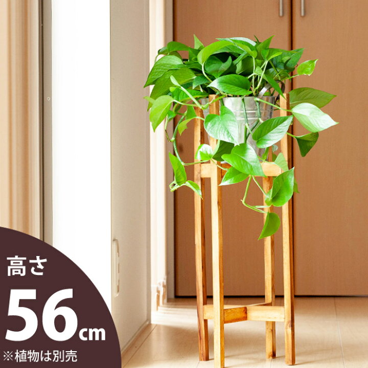 楽天市場】木製花台スタンド（大）（幅22.5cm） : e-花屋さん