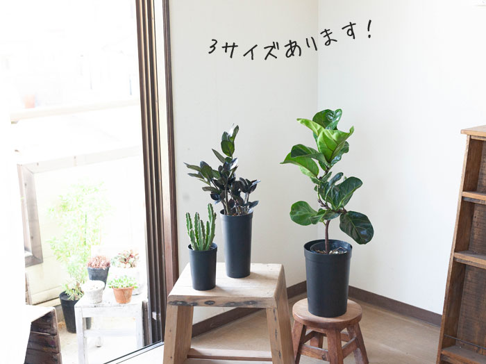 持っておくと便利！植物が成長しやすい鉢（18cm）×2鉢SET